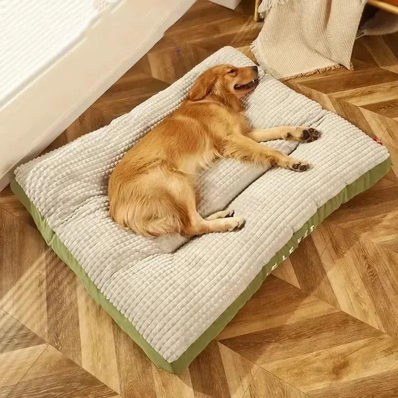 Coussin ergonomique chien