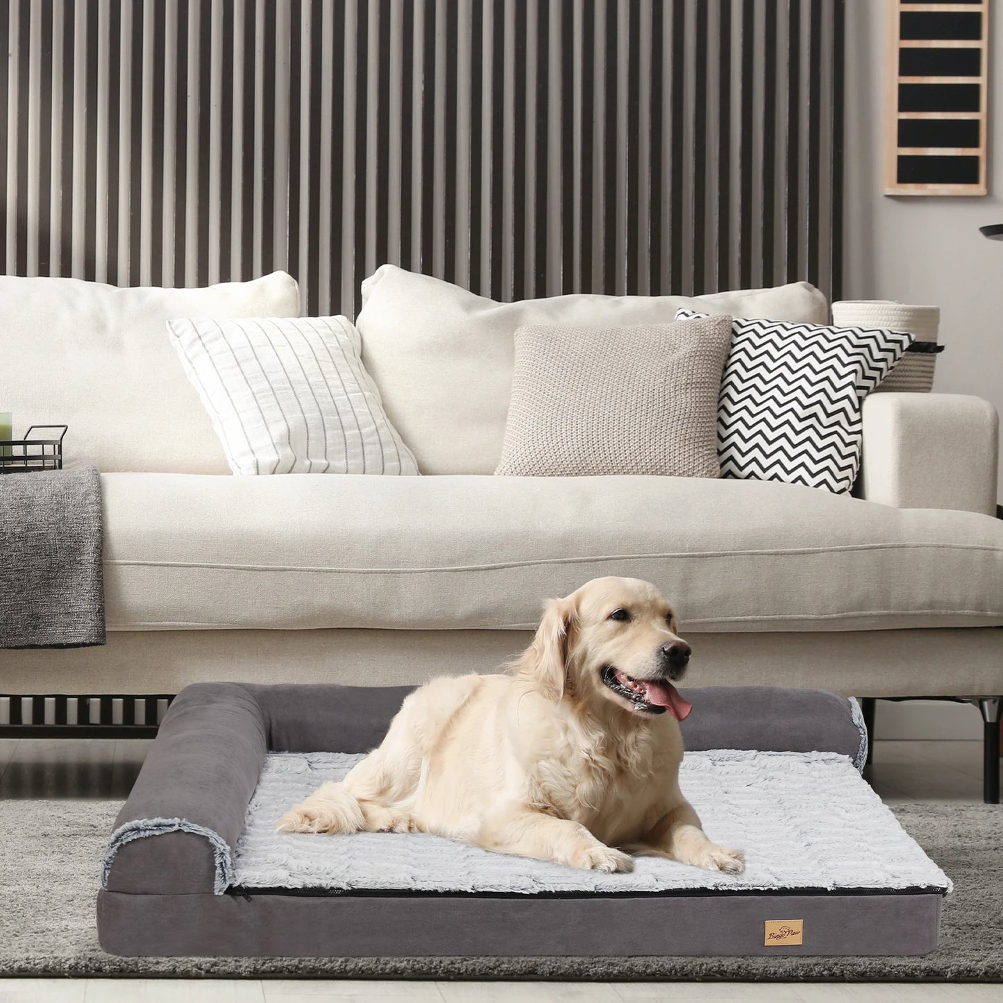 Coussin chien ergonomique salon