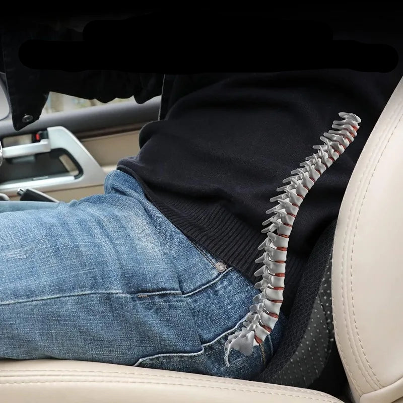 Coussin d'assise ergonomique bureau voiture