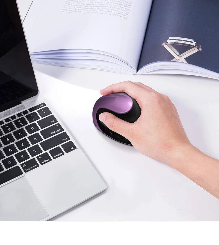 Souris ordi ergonomique