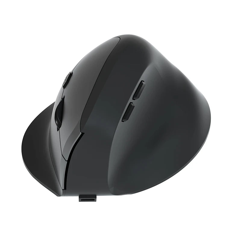 Souris d ordinateur ergonomique black