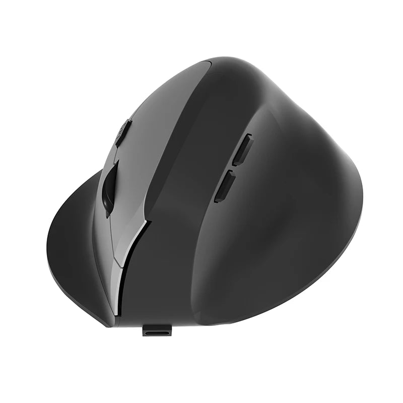 Souris d ordinateur ergonomique gris
