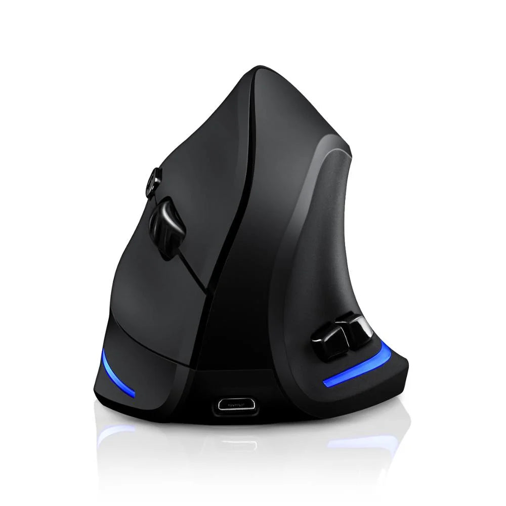 Souris ergonomie noir