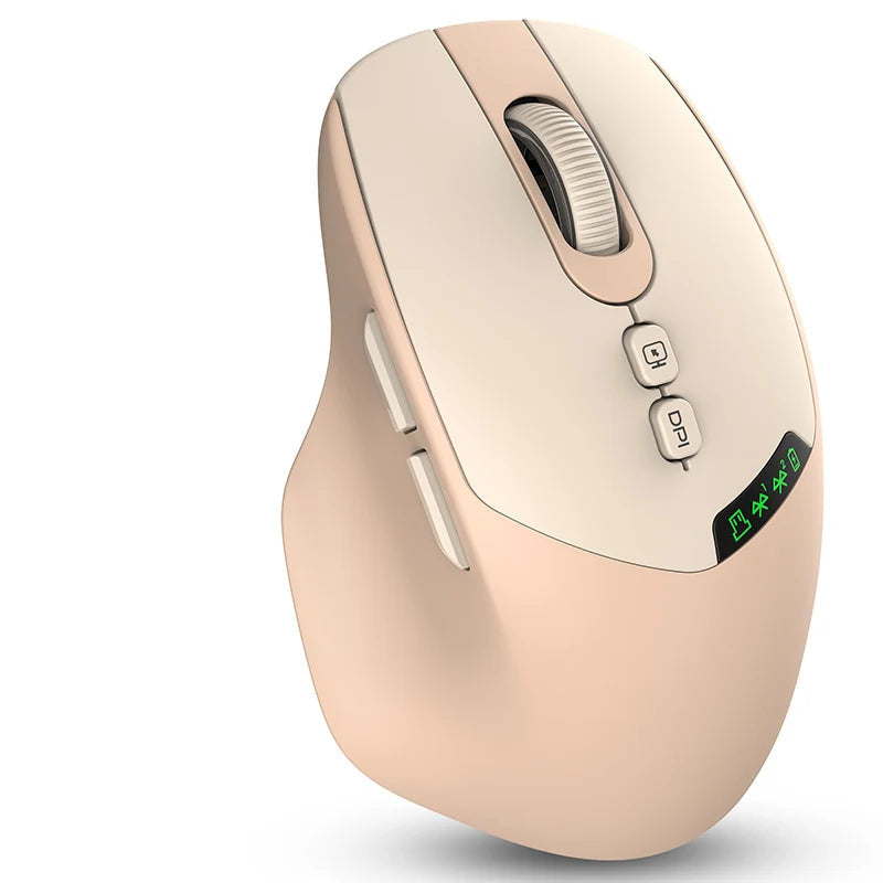 Souris ergonomique bureau beige