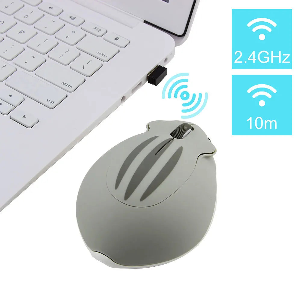 Souris_ergonomique_ordinateur_presentation