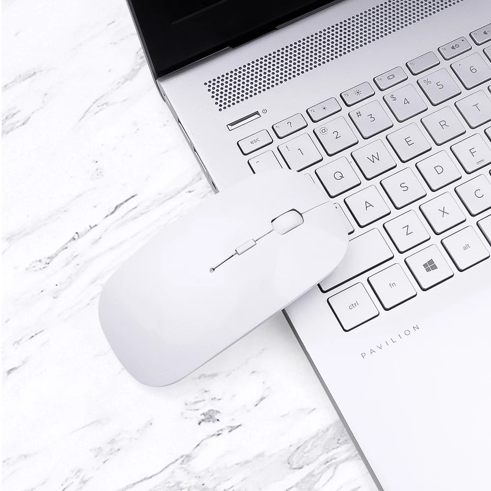 Souris ergonomique plate bureau