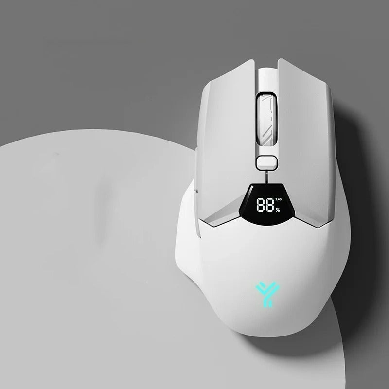 Souris ergonomique rechargeable blanc