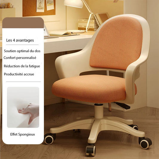 Chaise ergonomique pour le dos