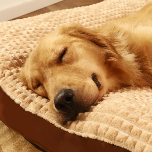 Coussin ergonomique chien grand