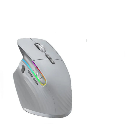 Informatique souris ergonomique gris