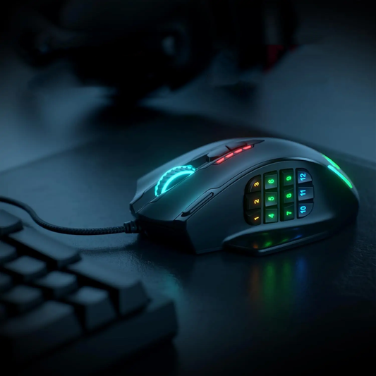 Souris ergonomique gaming noir
